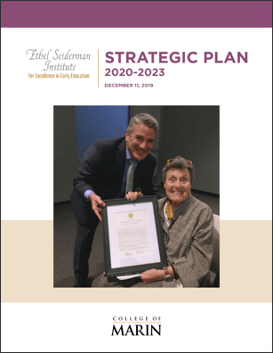Seiderman Institute_Strategic Plan_cover
